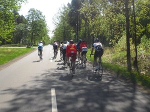 RTF Celle 2011 Manfred 081